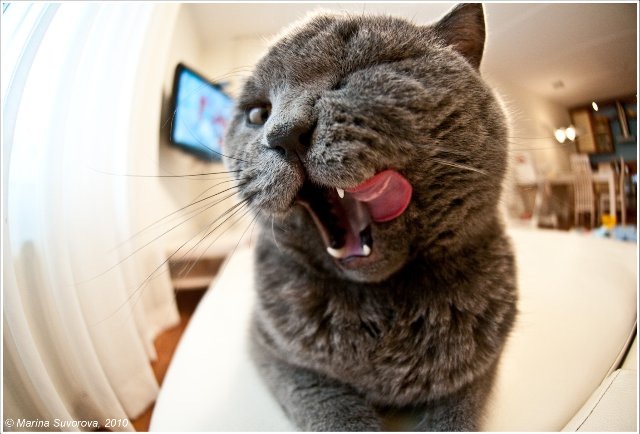 Никита Мищенко фотография #25