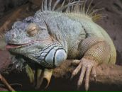 Фотография Черемушкиной Натальи