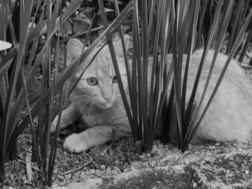 Анастасия Мережко фотография #21