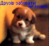 Юлька Єрмійчук фотография #35 (источник - https://vk.com/id164121909)