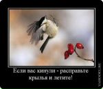 Фотография Евсеева Алексея