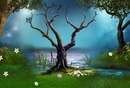 Аліна Іванчук фотография #21 (источник - https://vk.com/id155035409)