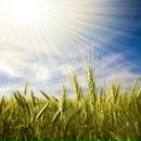 Фотография Крюковских Елены