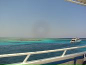 Катя Олійник фотография #25 (источник - https://vk.com/id16853046)