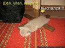 Ірина Демешкіна фотография #17 (источник - https://vk.com/id60720086)