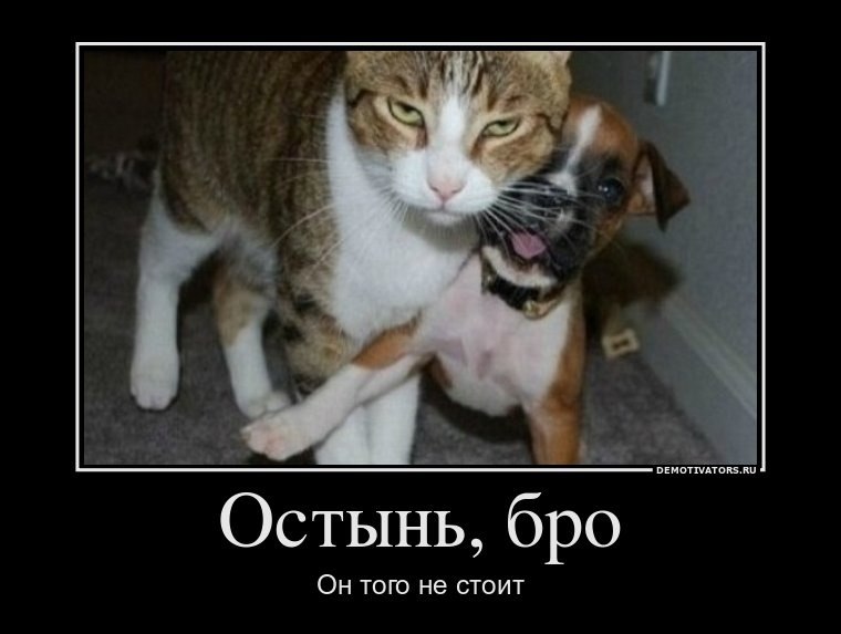 Дмитрий Грачев фотография #40