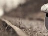Танюшка Фіщук фотография #47 (источник - https://vk.com/id84784344)
