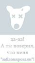 Єгор Шевель фотография #46 (источник - https://vk.com/id279716675)