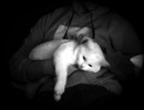 Фотография Safarov Jeck