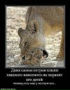 Орися Павлівченко фотография #16 (источник - https://vk.com/id70011075)