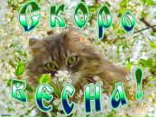 Ірина Миринюк-Савчук фотография #45 (источник - https://vk.com/id137606046)