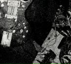 Фотография Gorohov Alexey