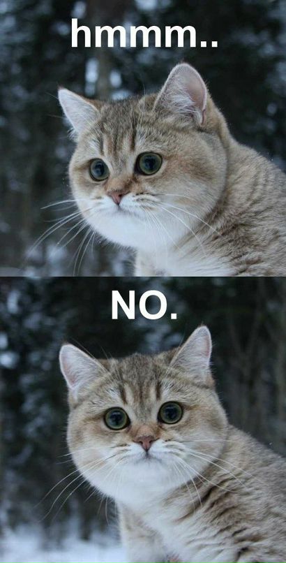 Александр Ткаченко фотография #41