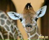 Фотография Gr Tatyana