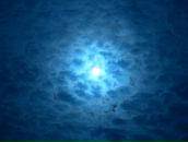 Фотография Чибисов Виталий