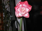 Фотография Aleksanor Aleksanor