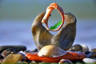 Фотография Молчанов Сергей