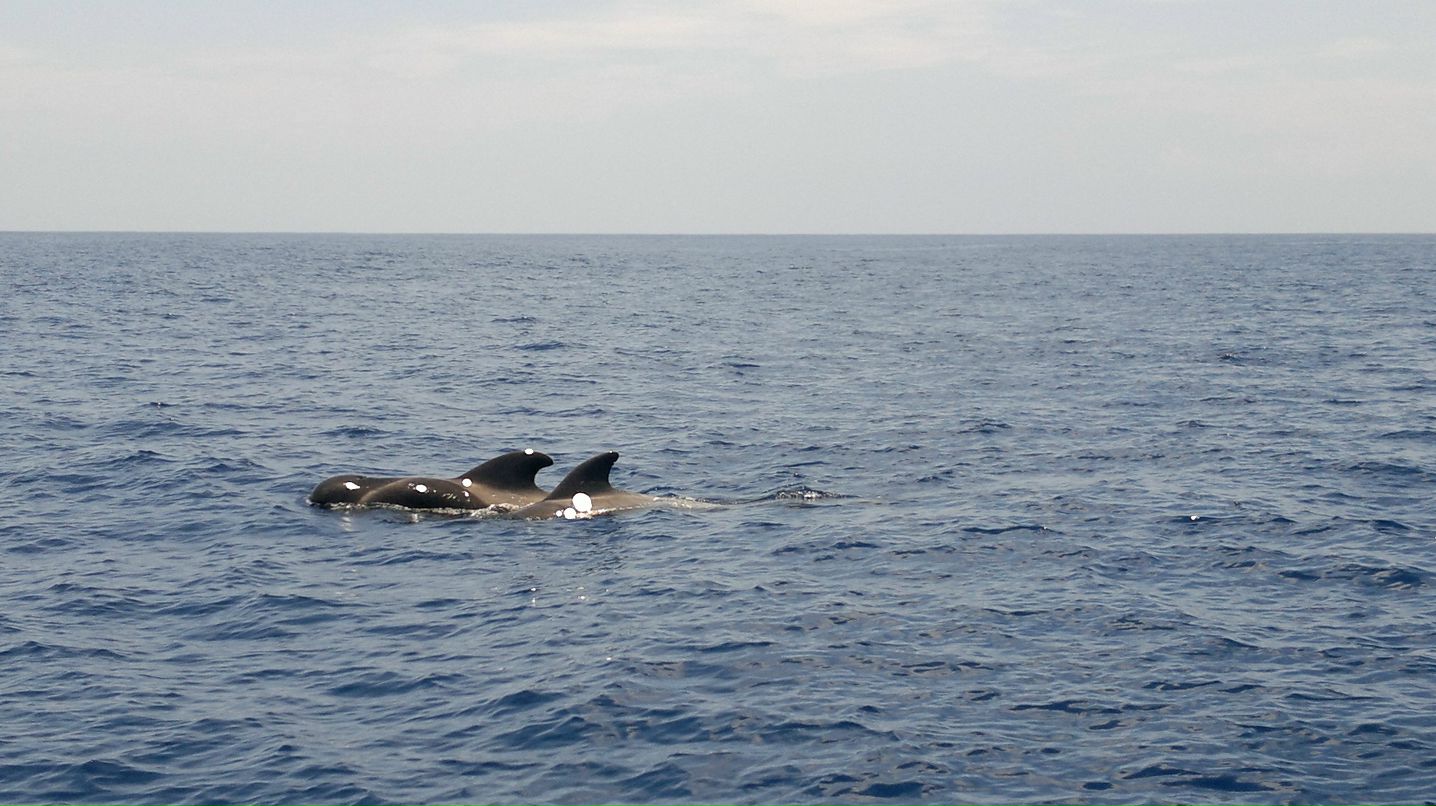 Антон Карасев фотография #17