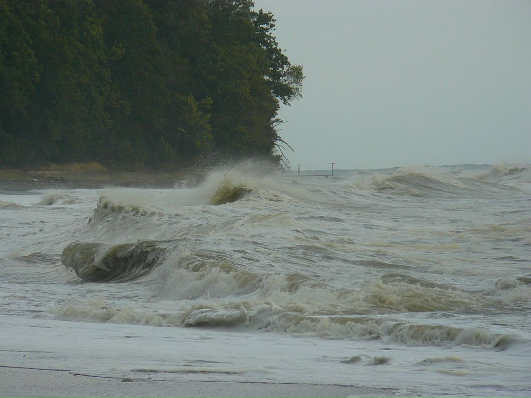 Дмитрий Рочев фотография #23