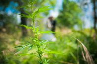 Сергей Гриценко фотография #42 (источник - https://vk.com/id4475414)