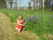 Anna Sebeleva фотография #5 (источник - https://vk.com/id4242612)