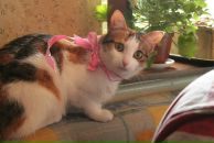 Фотография Шашковой Ларисы