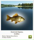 Сергій Брусяк фотография #38 (источник - https://vk.com/id58153311)