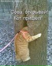 Оля Білик-Дворянська фотография #27 (источник - https://vk.com/id94354537)
