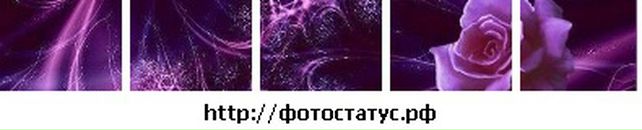 Віка Луць фотография #30 (источник - https://vk.com/id16653485)