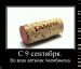  фотография #24