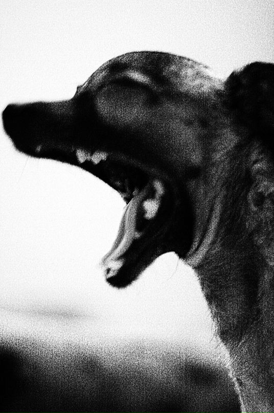 Andromeda Messier фотография #33