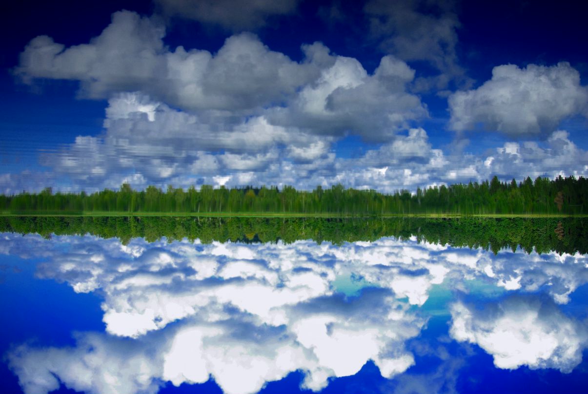 Андрей Разбаш фотография #17