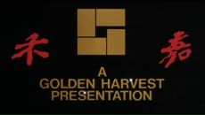 Роксолана Вітер фотография #12 (источник - https://vk.com/id28511059)