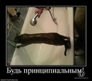 Віталий Самійленко фотография #22 (источник - https://vk.com/id109636026)
