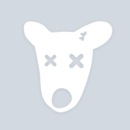 Фотография Алексеева Александра