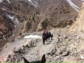 Антон Береговенко фотография #38 (источник - https://vk.com/id2727756)