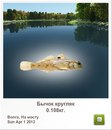 Віта Шматко фотография #40 (источник - https://vk.com/id156132848)