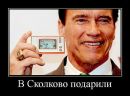 Фотография Пашкевич Елена