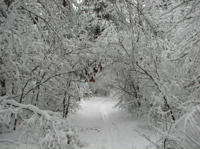 Виктор Долина фотография #47