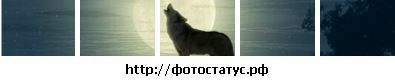 Ігор Галайда фотография #9 (источник - https://vk.com/id137445026)