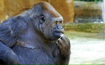 David Plotnikov фотография #41 (источник - https://vk.com/id14758151)