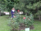 Олена Матвійчук фотография #28 (источник - https://vk.com/id13629598)