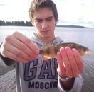 Дмитрий Дробышев фотография #8 (источник - https://vk.com/id1840179)