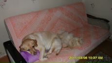 Фотография Гаврилюк Даны