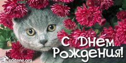 Галя Періг фотография #43 (источник - https://vk.com/id102715221)