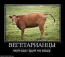 Іван Андрущак фотография #23 (источник - https://vk.com/id58571493)