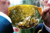 Вадим Андреич фотография #13 (источник - https://vk.com/id1965242)