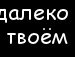 Ігор Сліпченко фотография #41 (источник - https://vk.com/id140250547)