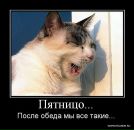 Дима Tryasunoff фотография #39 (источник - https://vk.com/id2384341)