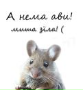 Рома Уціник фотография #40 (источник - https://vk.com/id352180646)